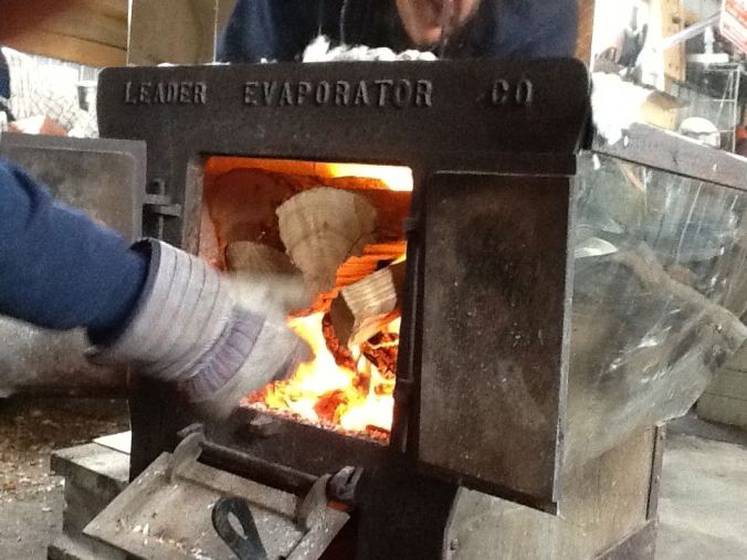 The heat makes everybody sleepy except Hazel. Safer to send her outside