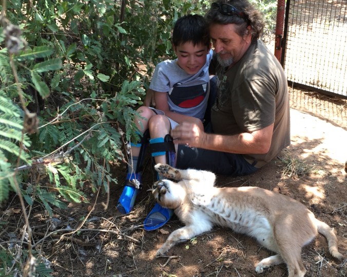 Antoine, Alfie, and a tame orphan civet