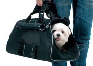 jet-set-carry._V398056363_